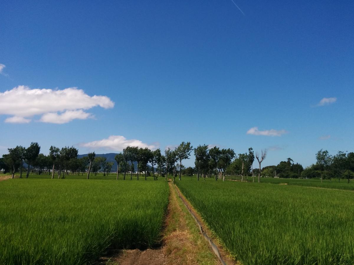 Iwamuro Slow Hostel Niigata Kültér fotó